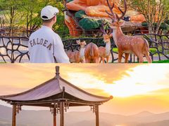 -南京银杏湖乐园