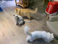 -小时光咖啡馆(开森度假森林店)