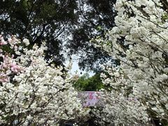 -观澜湖生态运动公社