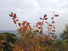 -香山公园