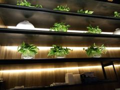 -小厨娘淮扬菜(清江苏宁广场店)
