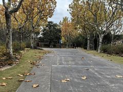 -黄兴公园