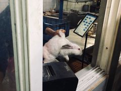 -温江公平红烧兔(总店)