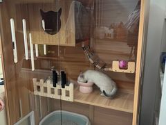 -三花喵·撸猫购宠·宠物生活馆(虹桥南丰城店)