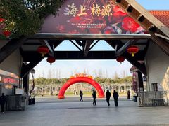 -上海海湾国家森林公园