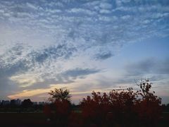 -汉长安城未央宫国家考古遗址公园