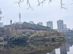 -重庆彩云湖湿地公园