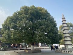 -香积寺