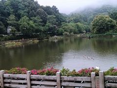 -广州市帽峰山景区