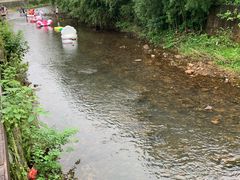 -十碗头(诚信路店)