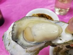 -蠔园山庄(礼乐食街店)