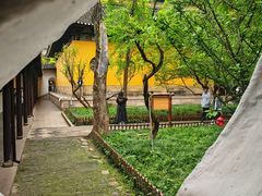 -西园寺素食(西园弄戒幢律寺店)