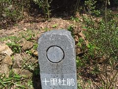 -梧桐山风景名胜区