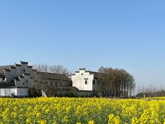 -宁波杭州湾国家湿地公园