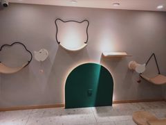 -飞行喵MR PILOT|猫舍·猫咖(静安大融城店)