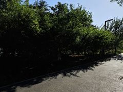 -大兴滨河森林公园