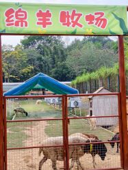 -阿菠萝小猪农场·萌宠乐园·亲子游·研学