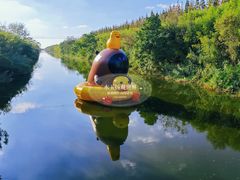 -黄海国家森林公园