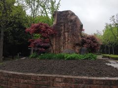 -苏州河梦清园环保主题公园