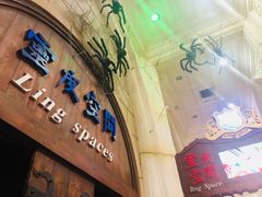 游乐设施-大连海昌发现王国主题公园