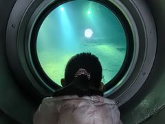 -白鹤梁水下博物馆