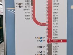 -大龙山(地铁站)