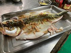 -德食竹园塘农庄(巧克力王国店)