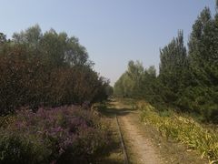 -永定河休闲森林公园