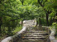 -阳台山自然风景区