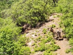 -承德避暑山庄景区
