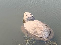 -东坡赤壁风景名胜区