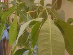 -康熙养生SPA·轻奢足道(江宁万达店)