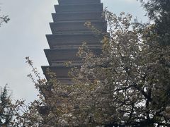 -洛阳白马寺