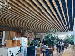 -Seesaw Coffee(朝阳大悦城店)