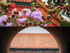-故宫博物院(故宫)