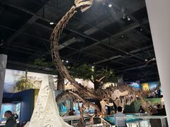 -国家自然博物馆