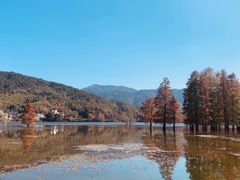 -塔川景区