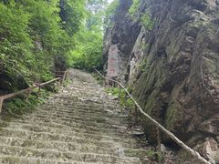 -天女山森林公园