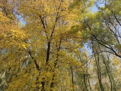 -森林公园(尖草坪区)