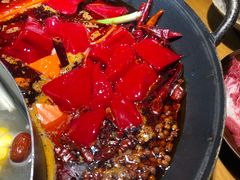 -阳阳老火锅(小南门店)