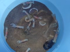 -金梦海湾浴场