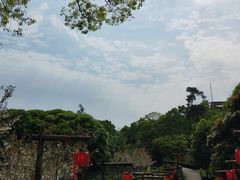 -南山植物园