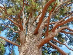 -终南山南五台景区