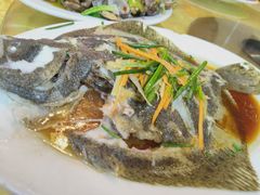 清蒸多宝鱼-板桥海鲜广场11排2号