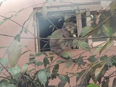 -青藏高原野生动物园