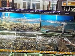 -望海潮海鲜店 特色家常菜(在海一方店)