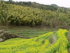 -灵山景区梯田