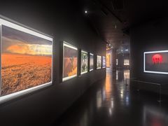 -罗红摄影艺术馆