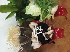 -京城胜利涮羊肉(禧乐汇店)