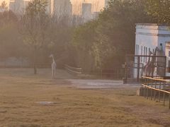 -合肥野生动物园